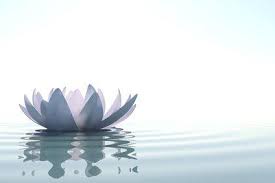 sophrologie lotus zen